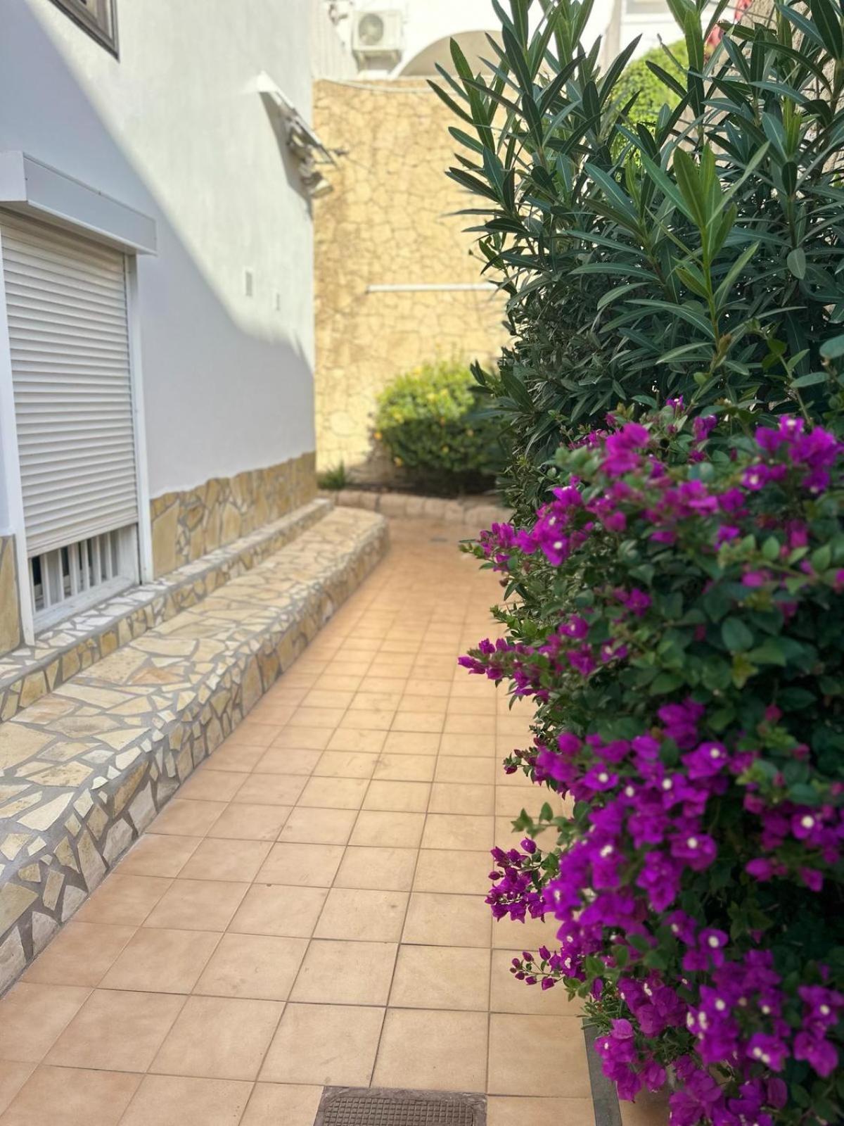 Sunny Sea View Apartment Center Of Las Americas Playa de las Americas  Zewnętrze zdjęcie