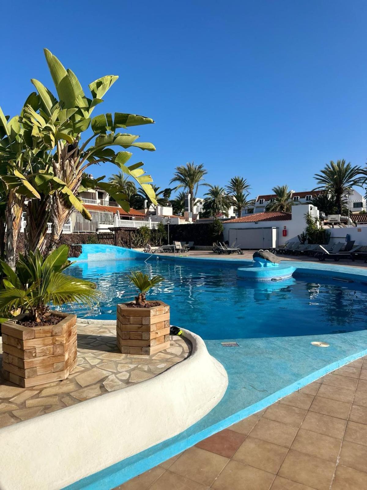 Sunny Sea View Apartment Center Of Las Americas Playa de las Americas  Zewnętrze zdjęcie