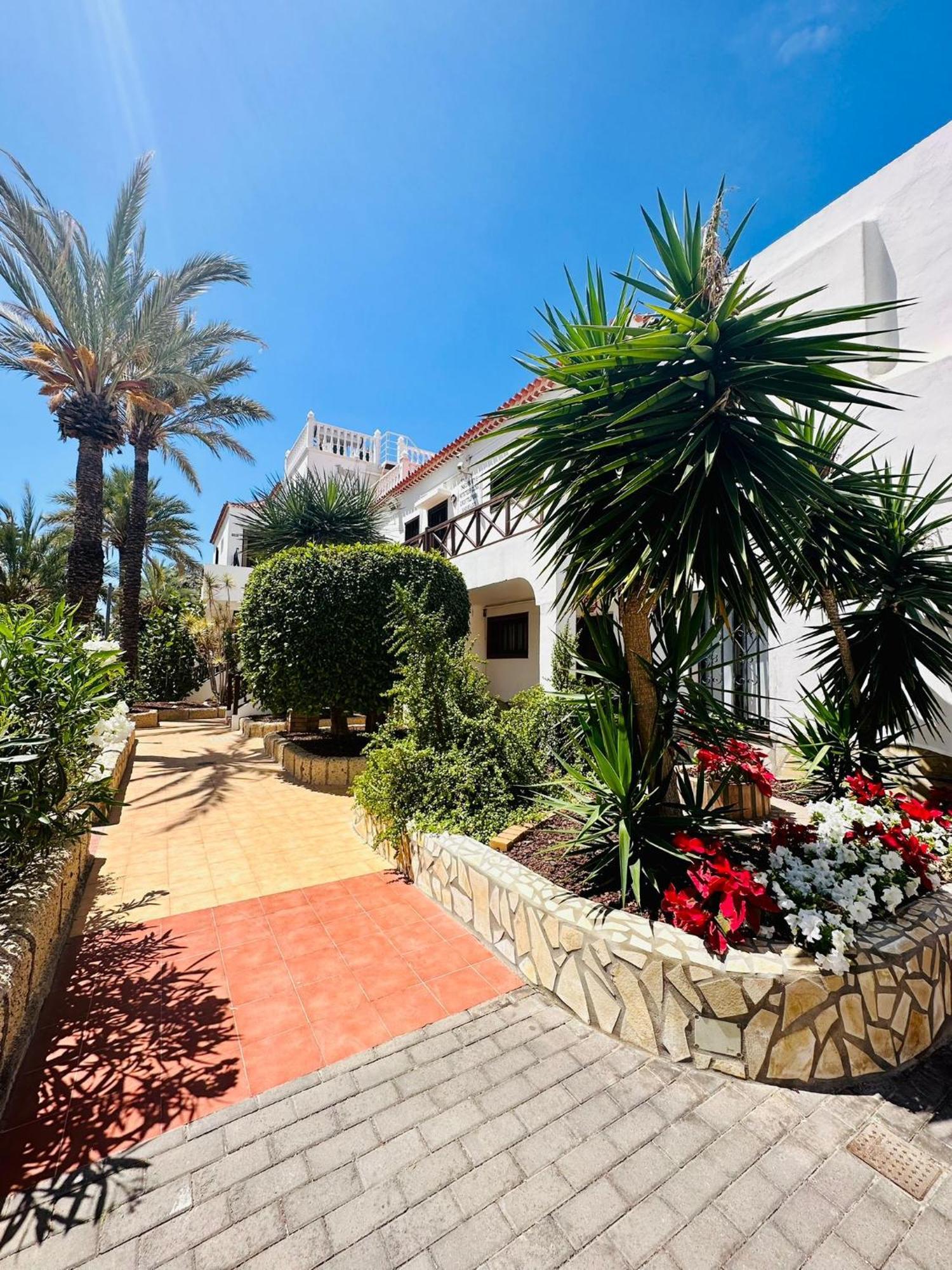 Sunny Sea View Apartment Center Of Las Americas Playa de las Americas  Zewnętrze zdjęcie